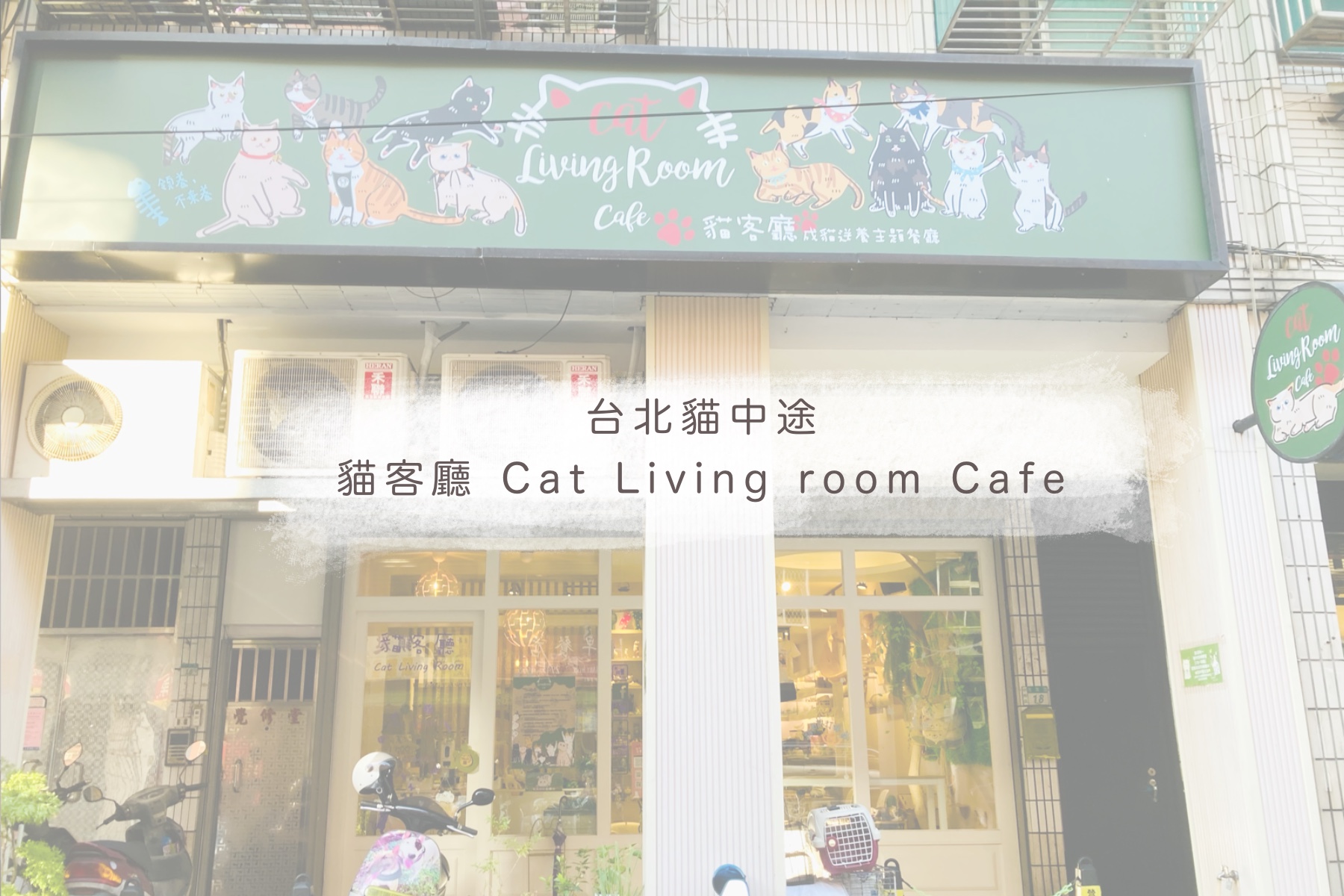 台北貓中途餐廳 貓客廳